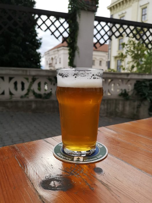 Pivnice U Kocoura (1)
