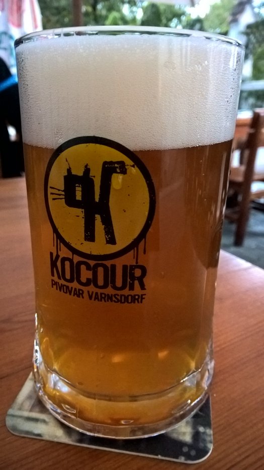 Toulavý Kocour Pub (10)