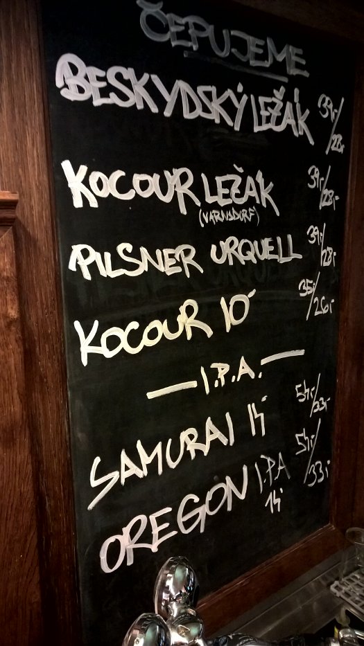 Toulavý Kocour Pub (6)
