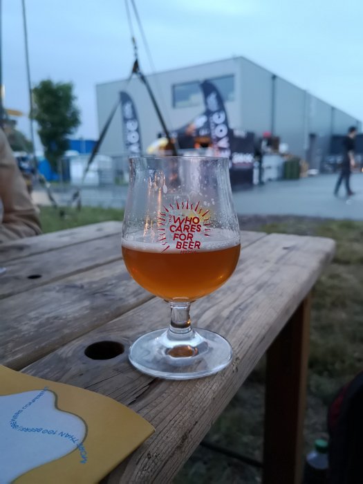 The Who Cares For Beer Festival 2018 (48)