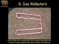 Folie75