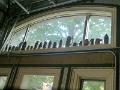 Bild (7)