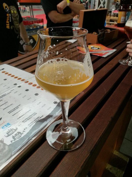 Craft Bier Fest Wien (26)