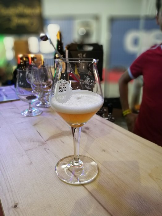 Craft Bier Fest Wien (29)