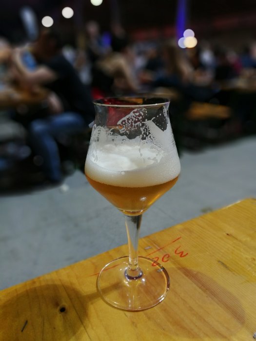 Craft Bier Fest Wien (68)