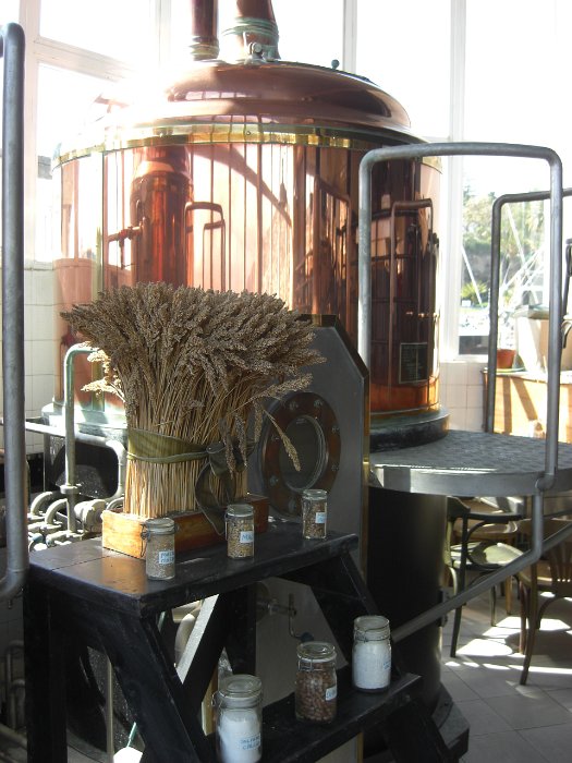 Beerhouse Madeira (7)