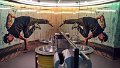 Bild (26)