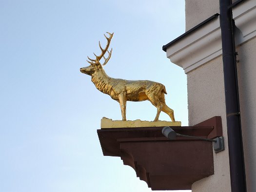 AKZENT Brauerei Hotel Hirsch (3)