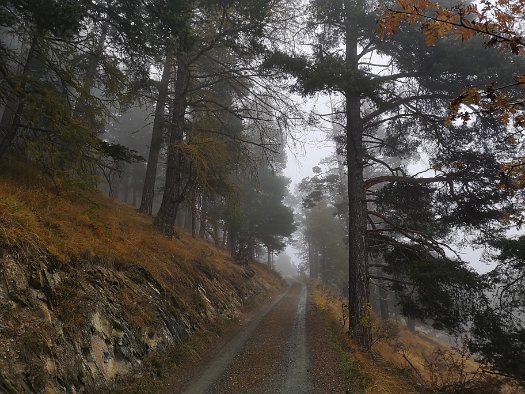 Bergbierwanderung Tschlin 2020 (12)