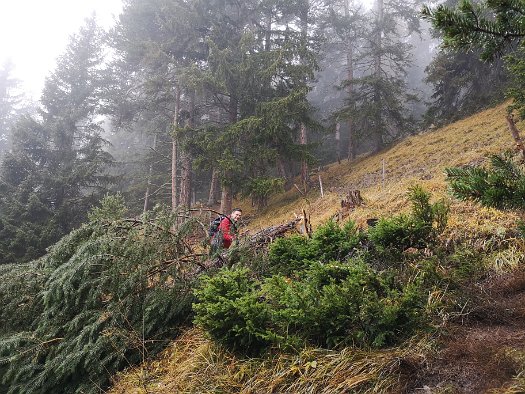 Bergbierwanderung Tschlin 2020 (30)