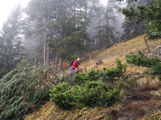 Bergbierwanderung Tschlin 2020 (31)