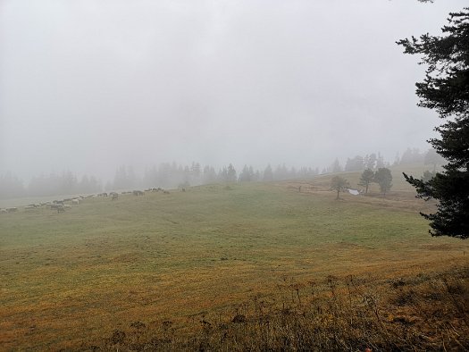 Bergbierwanderung Tschlin 2020 (32)