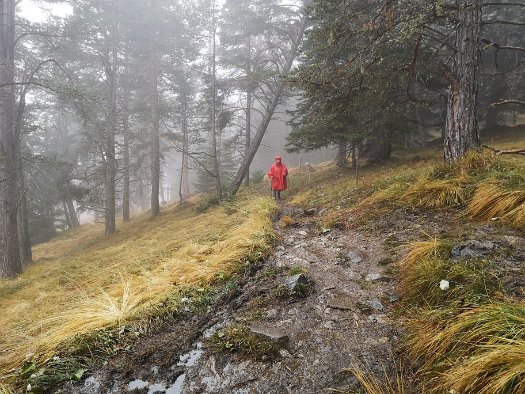 Bergbierwanderung Tschlin 2020 (33)