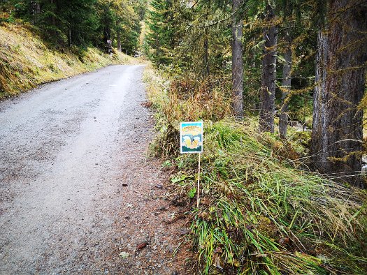 Bergbierwanderung Tschlin 2020 (47)