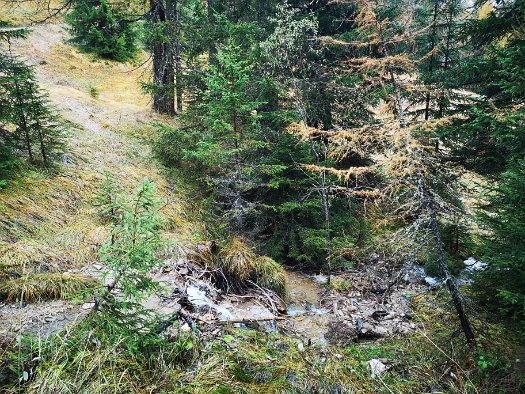 Bergbierwanderung Tschlin 2020 (48)