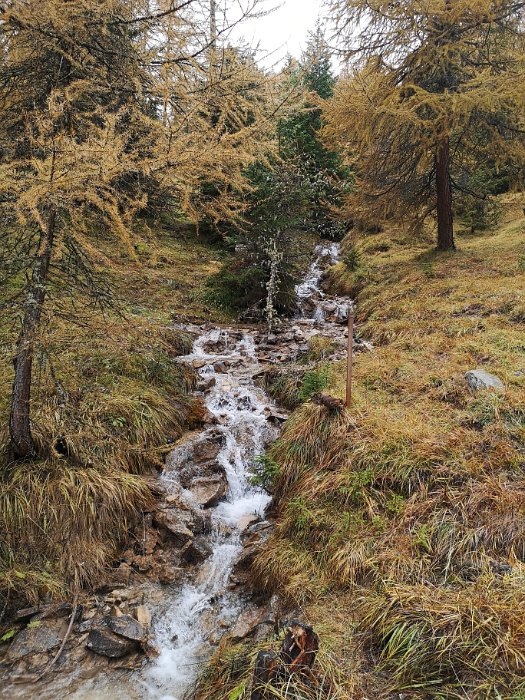 Bergbierwanderung Tschlin 2020 (49)