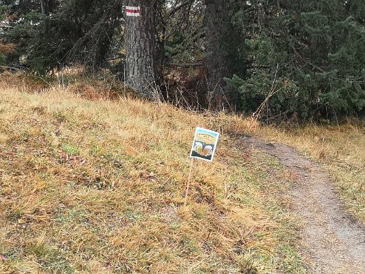 Bergbierwanderung Tschlin 2020 (51)