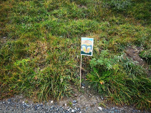 Bergbierwanderung Tschlin 2020 (7)