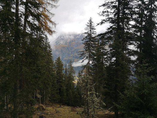 Bergbierwanderung Tschlin 2020 (73)