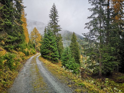 Bergbierwanderung Tschlin 2020 (74)