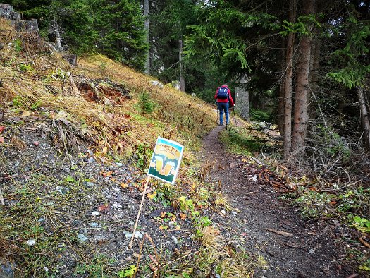 Bergbierwanderung Tschlin 2020 (76)