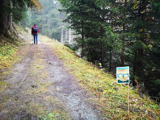 Bergbierwanderung Tschlin 2020 (77)