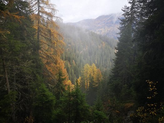 Bergbierwanderung Tschlin 2020 (78)