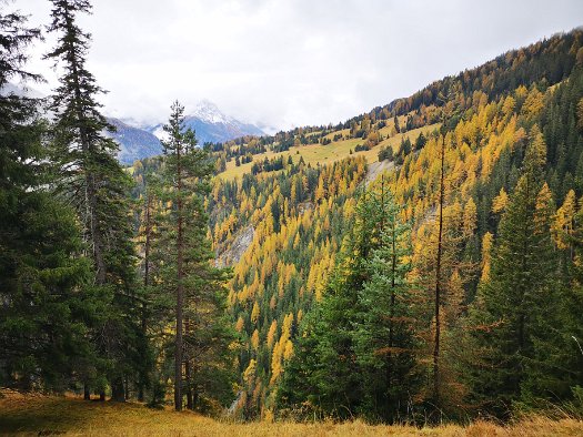 Bergbierwanderung Tschlin 2020 (89)