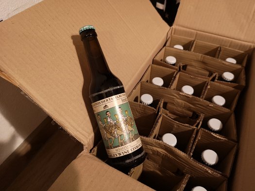 Virtuelle Brauereieröffnung orca brau (9)