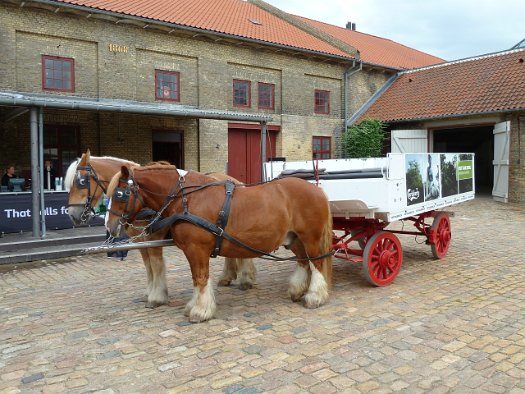 Carlsberg Bryggeriet (20)