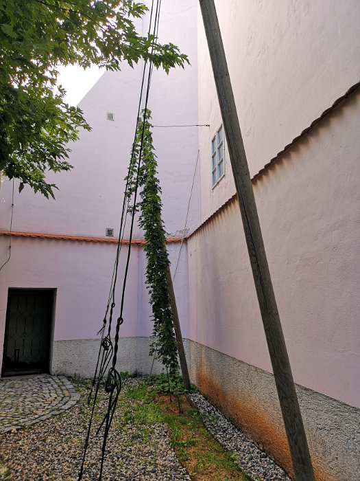 Chmelařské Muzeum (35)