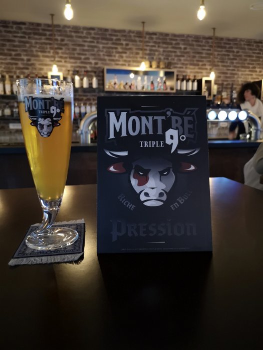 The Craft Beer Pub Dijon (11)