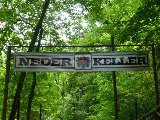 Der Forchheimer Kellerwald (16)