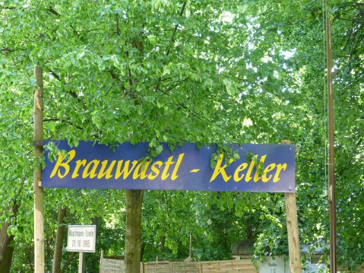 Der Forchheimer Kellerwald (27)