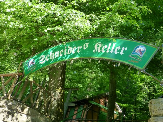 Der Forchheimer Kellerwald (30)
