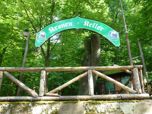 Der Forchheimer Kellerwald (31)