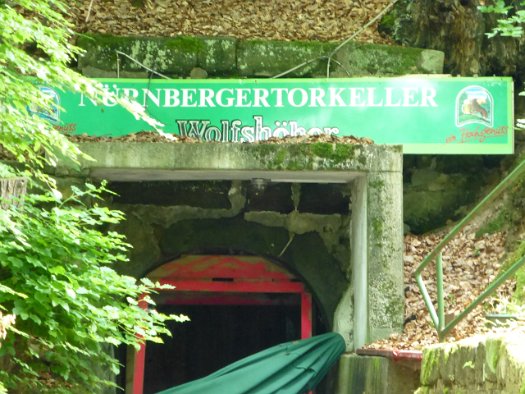 Der Forchheimer Kellerwald (4)