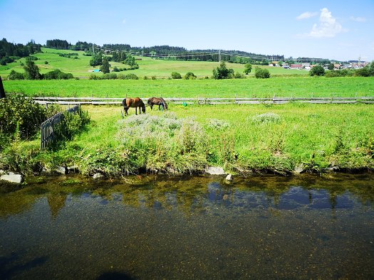 Kirnach Stuben (11)