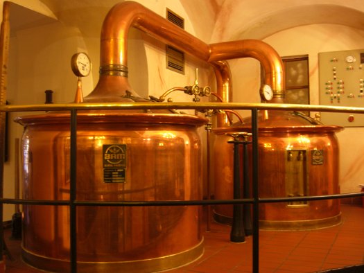 Gasthausbrauerei König von Flandern (3)