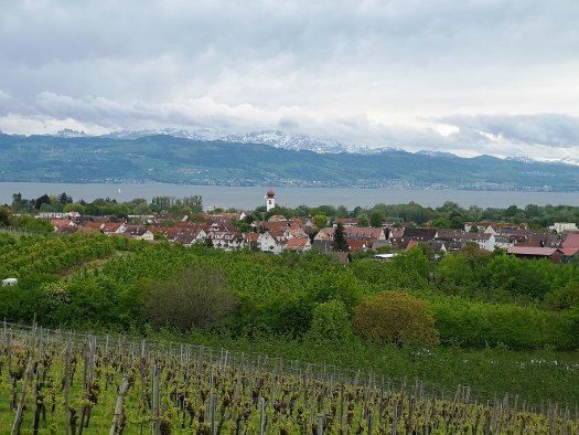 Gasthaus-Brauerei Max und Moritz (7)