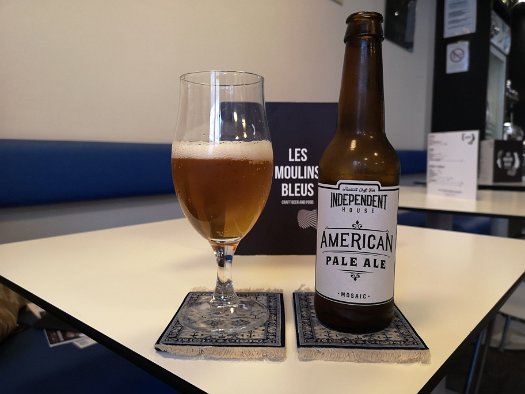 Les Moulins Bleus – Craft Beer and Food (7)