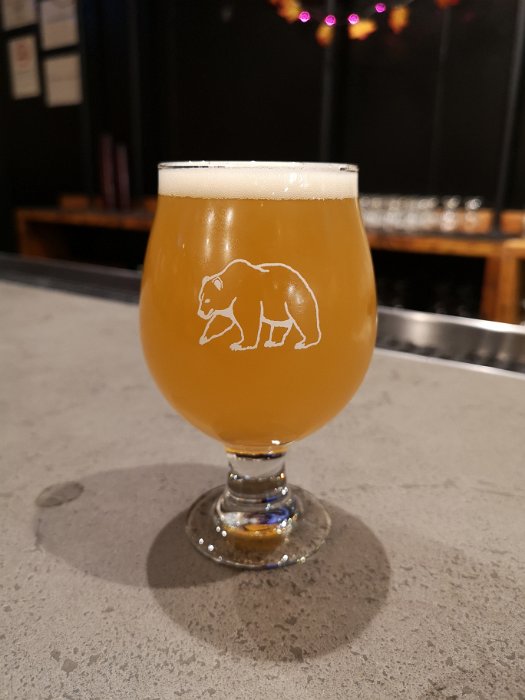 Red Bear Brewing Co. (17)