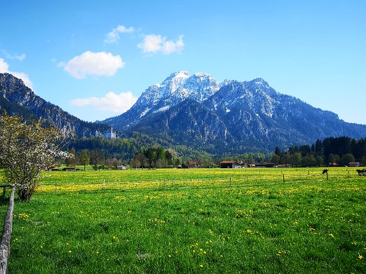 Schlossbrauhaus Schwangau (26)