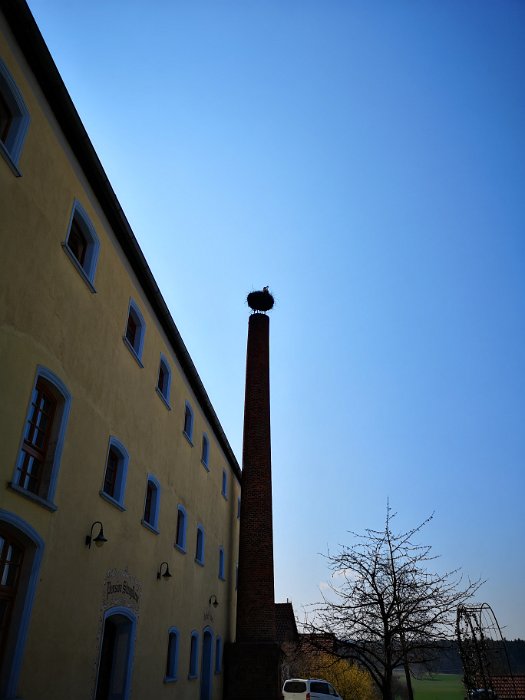 Brauereigasthof Stanglbräu (3)