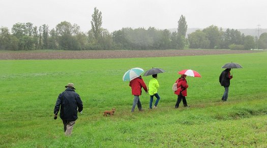 Die Wandertour de Bier 2014 - Oberroßbach (8)