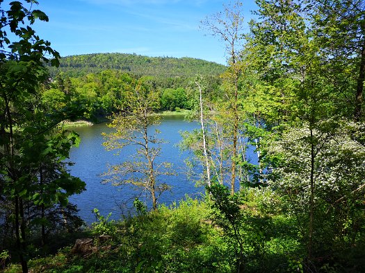 09 - Spaziergang am See entlang (10)