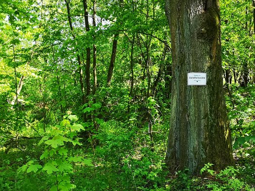 09 - Spaziergang am See entlang (9)