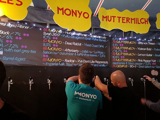 The Who Cares For Beer Festival 2018 (36)