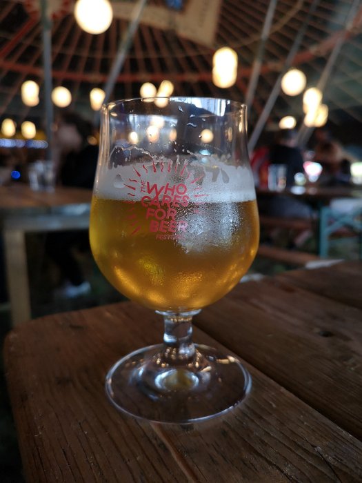 The Who Cares For Beer Festival 2018 (37)