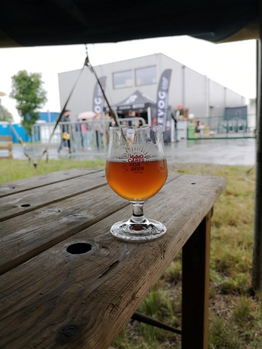 The Who Cares For Beer Festival 2018 (38)